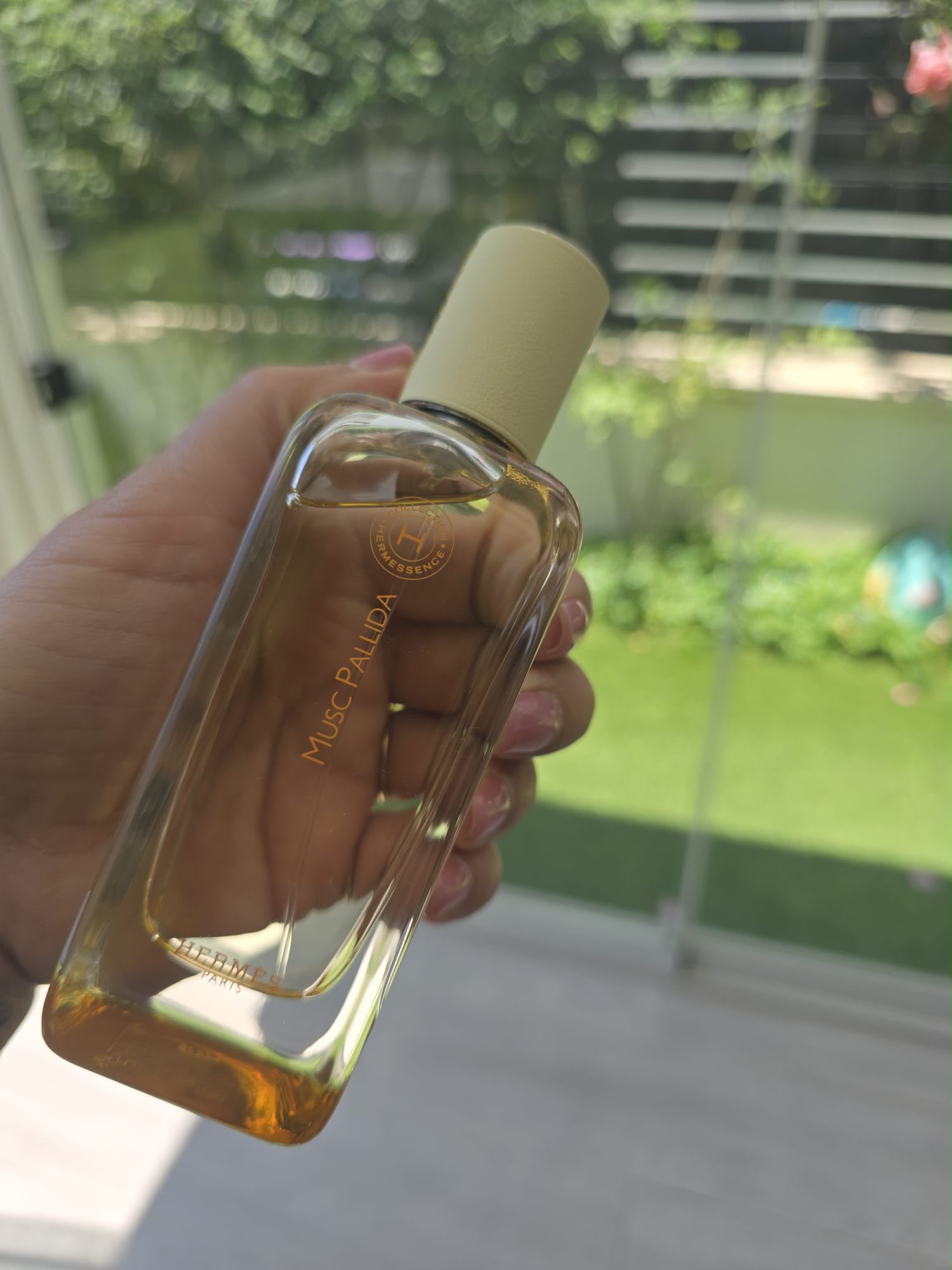 Hermes Musc Pallida